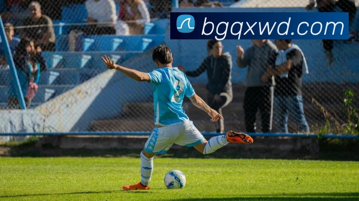 问鼎28品牌故事